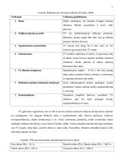 Efektyvi reklama televizijoje 7 puslapis