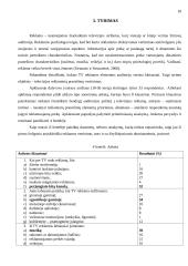 Efektyvi reklama televizijoje 10 puslapis