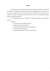 Gamybos procesas: siuvimo įmonė UAB "Debesėlis" 2 puslapis