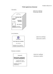 Gamybos procesas: siuvimo įmonė UAB "Debesėlis" 14 puslapis