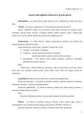 Gamybos procesas: siuvimo įmonė UAB "Debesėlis" 4 puslapis