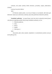 Gamybos procesas: siuvimo įmonė UAB "Debesėlis" 5 puslapis