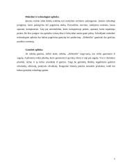 Gamybos procesas: siuvimo įmonė UAB "Debesėlis" 7 puslapis