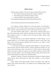 Gamybos procesas: siuvimo įmonė UAB "Debesėlis" 8 puslapis