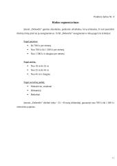 Gamybos procesas: siuvimo įmonė UAB "Debesėlis" 10 puslapis