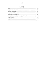 Įmonės galimybių Lietuvos rinkoje tyrimas: statybos įmonė UAB "Strateksas" 2 puslapis