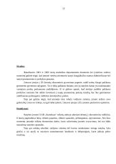 Įmonės galimybių Lietuvos rinkoje tyrimas: statybos įmonė UAB "Strateksas" 13 puslapis