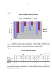 Įmonės galimybių Lietuvos rinkoje tyrimas: statybos įmonė UAB "Strateksas" 10 puslapis