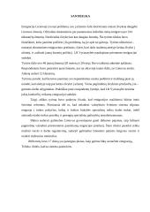 Jaunų žmonių požiūris į emigraciją Lietuvoje 2 puslapis