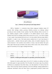 Jaunų žmonių požiūris į emigraciją Lietuvoje 11 puslapis