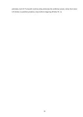 Jaunų žmonių požiūris į emigraciją Lietuvoje 16 puslapis