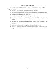 Jaunų žmonių požiūris į emigraciją Lietuvoje 17 puslapis