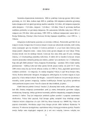 Jaunų žmonių požiūris į emigraciją Lietuvoje 6 puslapis