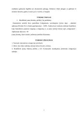 Jaunų žmonių požiūris į emigraciją Lietuvoje 7 puslapis