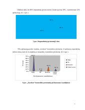 Kosmetikos vartotojų marketingo tyrimas 7 puslapis