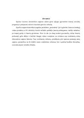 Lietuvos ekonomikos augimas ir perspektyvos 10 puslapis