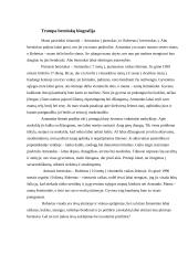 Mokymosi motyvacijos ir baimių tyrimas 2 puslapis