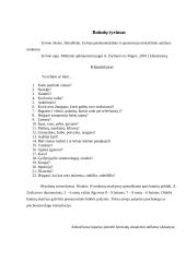 Mokymosi motyvacijos ir baimių tyrimas 5 puslapis