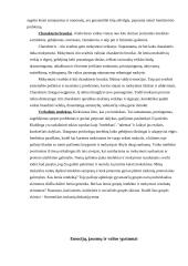 Mokymosi motyvacijos ir baimių tyrimas 10 puslapis