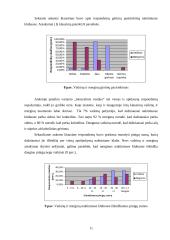 Naktinių klubų pasirinkimo vertinimas 11 puslapis