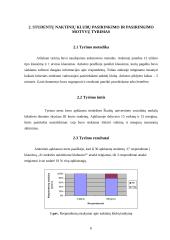 Naktinių klubų pasirinkimo vertinimas 6 puslapis