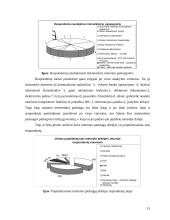 Naudojimosi internetu privalumai: nuomonių analizė 13 puslapis