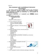 Naudojimosi internetu privalumai: nuomonių analizė 19 puslapis