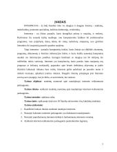 Naudojimosi internetu privalumai: nuomonių analizė 3 puslapis