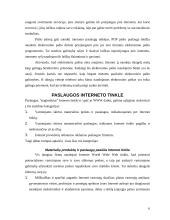 Naudojimosi internetu privalumai: nuomonių analizė 6 puslapis