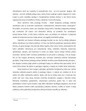 Naudojimosi internetu privalumai: nuomonių analizė 8 puslapis