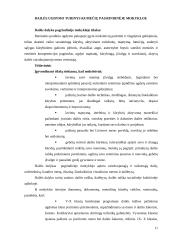 Pedagoginis tyrimas: Dailės ir vizualinės raiškos galimybės dramos būrelio veikloje 11 puslapis