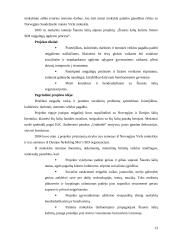 Pedagoginis tyrimas: Dailės ir vizualinės raiškos galimybės dramos būrelio veikloje 13 puslapis