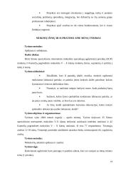 Pedagoginis tyrimas: Dailės ir vizualinės raiškos galimybės dramos būrelio veikloje 14 puslapis