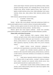 Pedagoginis tyrimas: Dailės ir vizualinės raiškos galimybės dramos būrelio veikloje 10 puslapis