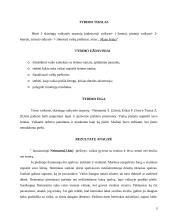 Piešinių analizė vaikystės tarpsniuose 3 puslapis