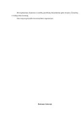 Rasizmo problema 4 puslapis