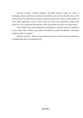 Rasizmo problema 7 puslapis