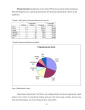Rinkodaros tyrimas: MP3 grotuvų paklausa 12 puslapis