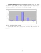 Rinkodaros tyrimas: MP3 grotuvų paklausa 13 puslapis