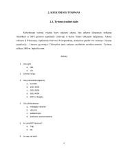 Rinkodaros tyrimas: MP3 grotuvų paklausa 4 puslapis