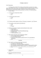 Rinkos tyrimų reikšmė ir svarba Šiaulių miesto įmonėms 11 puslapis