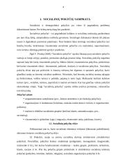 Socialinių ir demografinių pokyčių identifikavimas kaime 4 puslapis