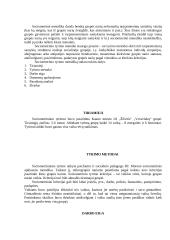 Sociometrika 3 puslapis