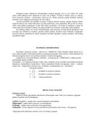 Sociometrika 4 puslapis