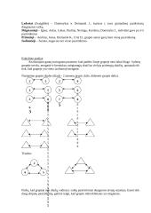 Sociometrika 5 puslapis