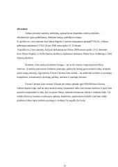 Statistinės duomenys apie "Coca-cola Plaza" kino namus 13 puslapis