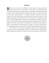 Statistinis tyrimas: "Darbuotojų motyvacija" 2 puslapis