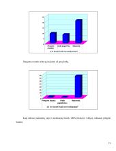 Statistinis tyrimas: "Darbuotojų motyvacija" 12 puslapis