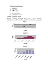 Statistinis tyrimas: aktualiausi klausimai Vilniaus gyventojams 4 puslapis