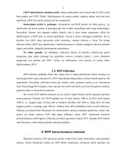 Statistinis tyrimas: bendrasis vidaus produktas (BVP) 6 puslapis